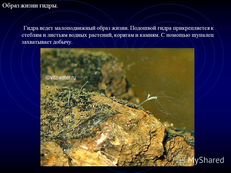 Регистрация на сайте кракен