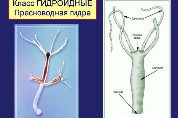 Впн для кракена